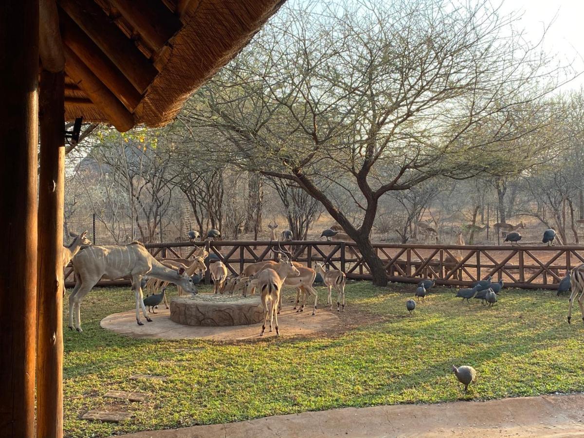 Genet House Holiday Home Marloth Park Exterior photo