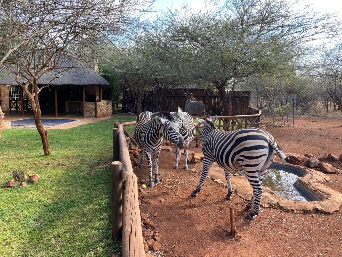 Genet House Holiday Home Marloth Park Exterior photo