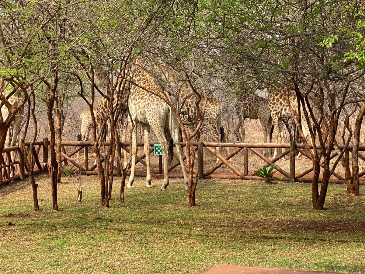 Genet House Holiday Home Marloth Park Exterior photo